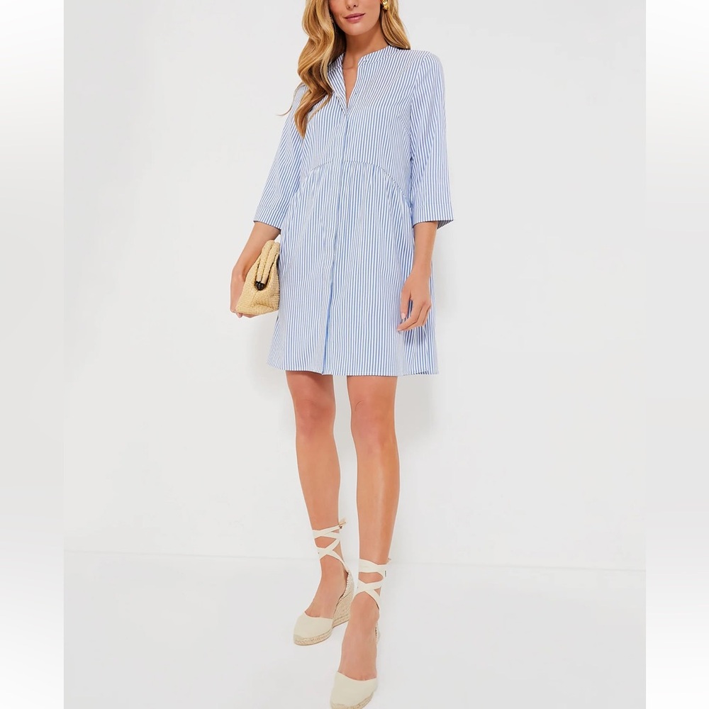 TUCKERNUCK Blue Stripe Royal Shirt Dress Various Sizes NEW - Picture 3 of 13